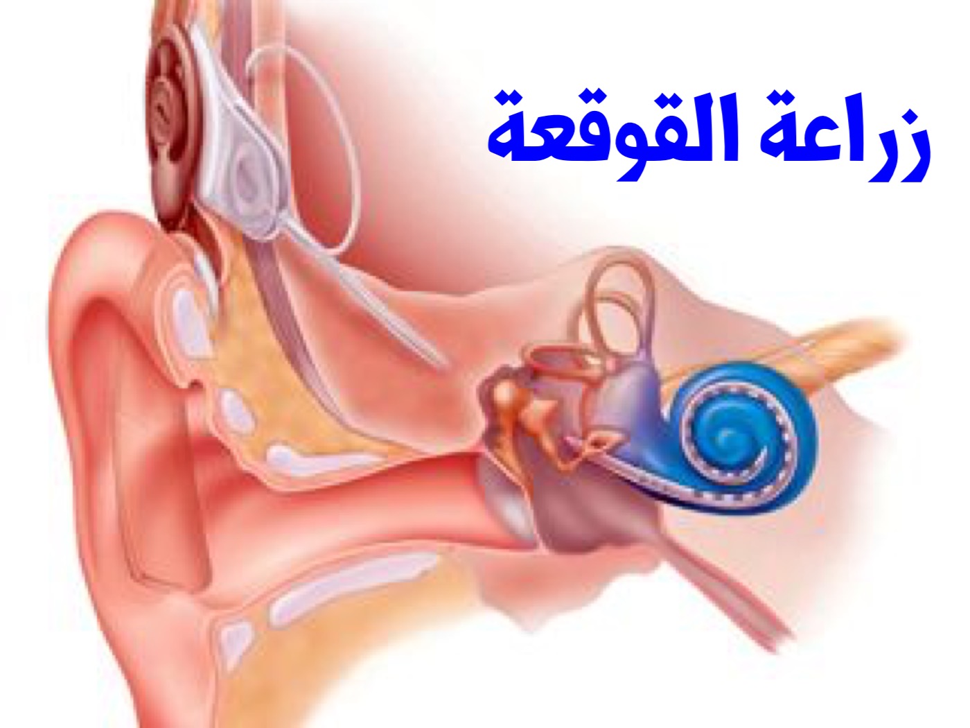 عبد الرزاق يعاني من نقص سمع عميق 